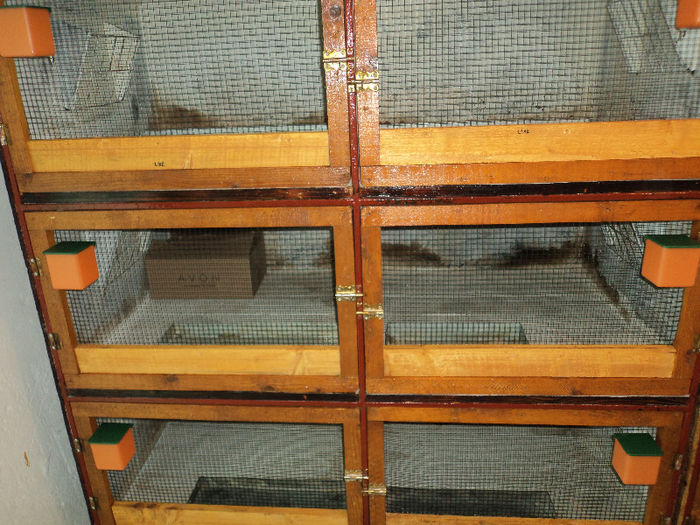 CUSCA TINERET - ADAPOSTUL SI CUSTILE MELE