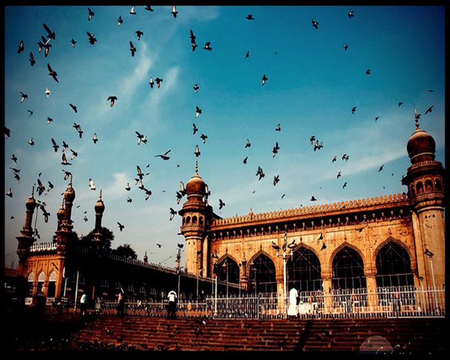● The Mosque Mecca Masjid ●