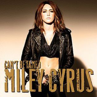 8129453634_37ce368d2a_m