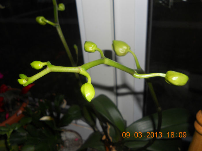 DSCN2747