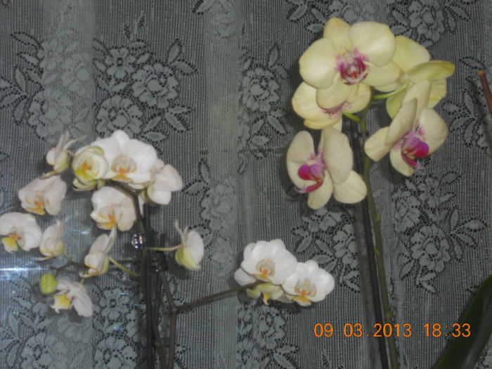 DSCN2756