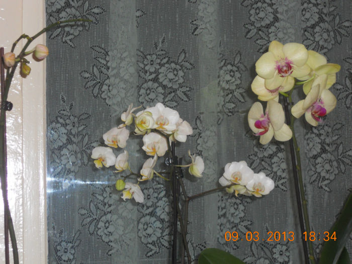 DSCN2759