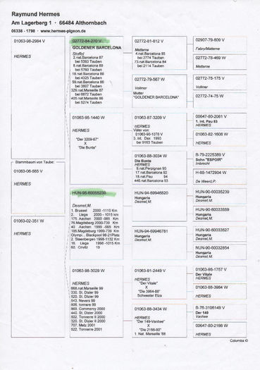 Anexa pedigreu Maraton