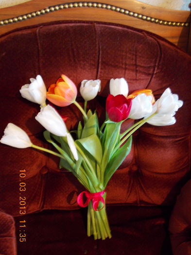 10 martie 2013-flori 021