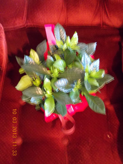 10 martie 2013-flori 018 - gardenia
