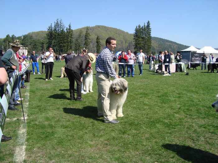 DSC04396 - 9 CAC BRASOV 2012