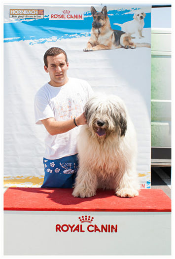 Royal Canin Dog Fest 2012 Hornbach Brasov 1 Iulie (63) - Ambra de Craiasa Muntilor