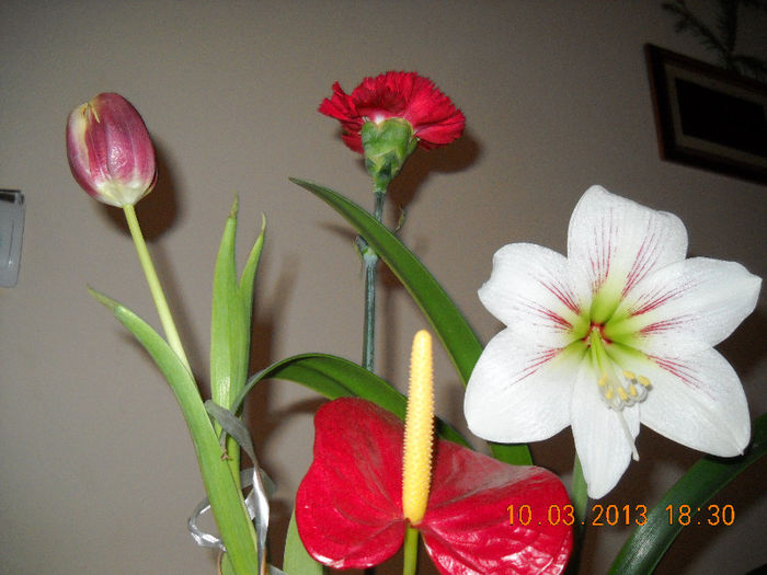 La multi ani! cu ocazia zilei de 8 martie!; O primavara frumoasa tuturor doamnelor, domnisoarelor, mamelor, iubitelor, bunicilor!
