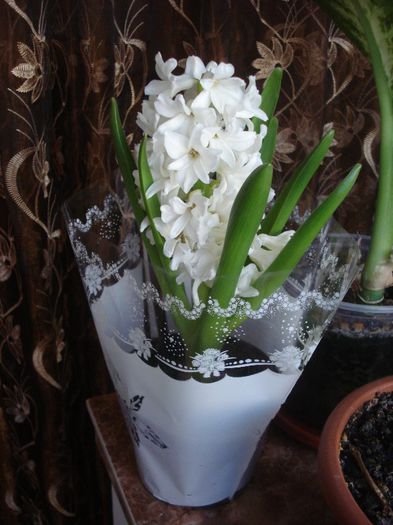 primita  de 1Martie 2013