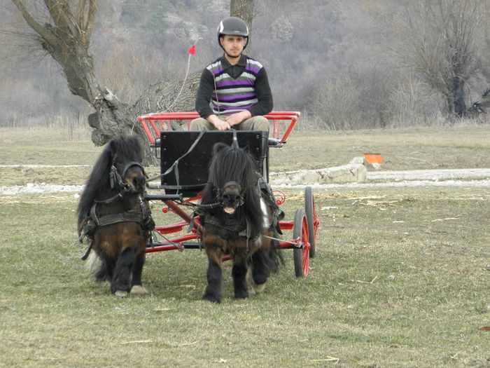 P3077370 - VANZARI PONEI 3