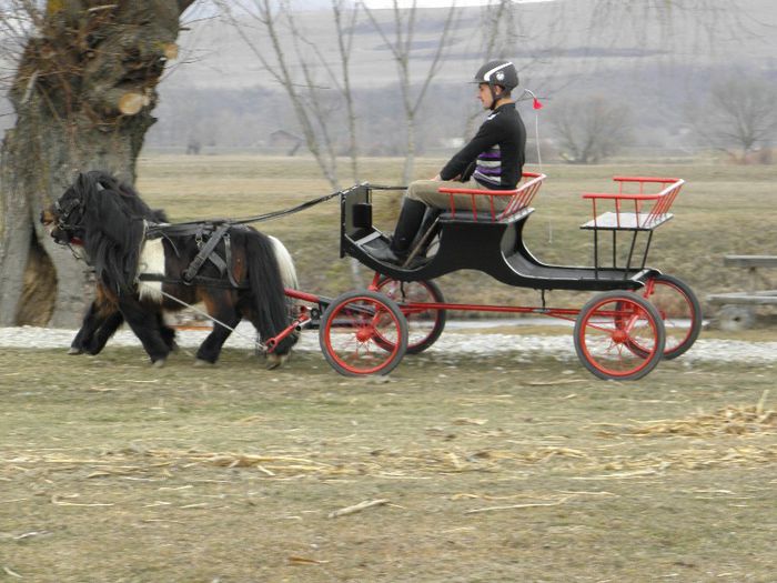 P3077312 - VANZARI PONEI 3