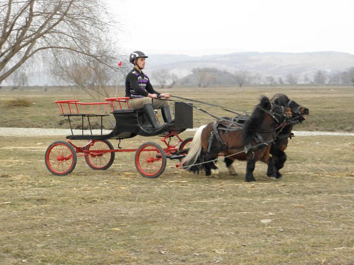 P3077314 - VANZARI PONEI 3