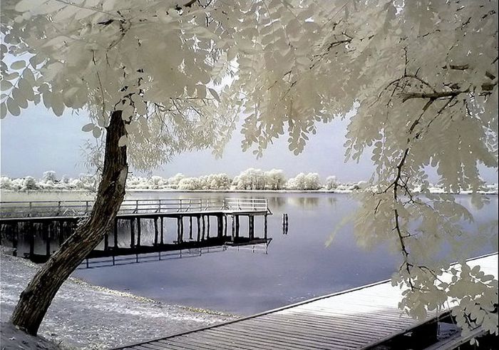 ,nb c - NATURA MOARTA-NATURA VIE