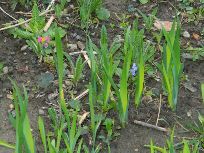 DSCN5531
