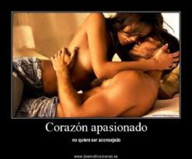 images (51)