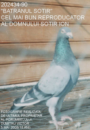  - Sotir Ion - emblema