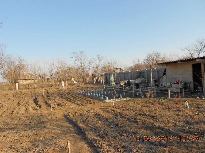 gradina