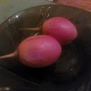 tamarillo; copac de rosii
