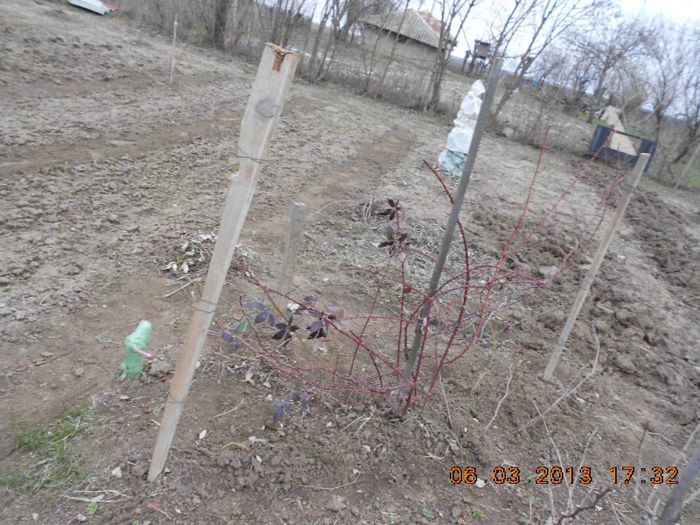 DSCN6622