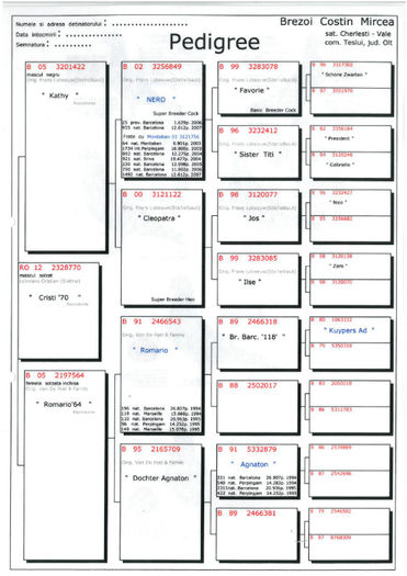 P. Cristi70 2328770 2012