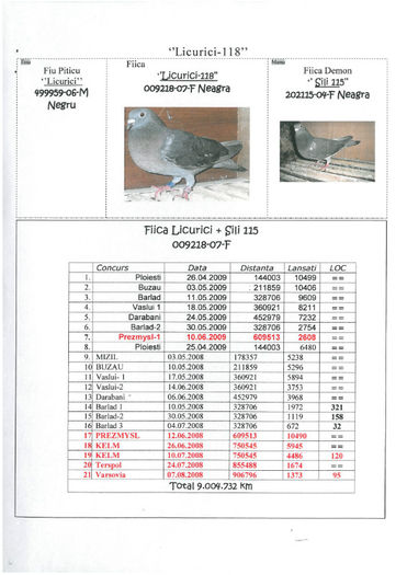 Licurici 118 - Pedigree Stramosi Matca