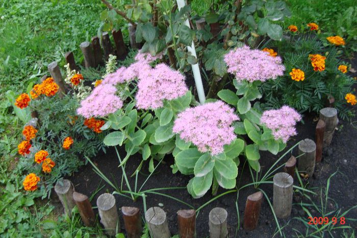 la fel ca cea de-a doua numai ca este cu floare sa se vada