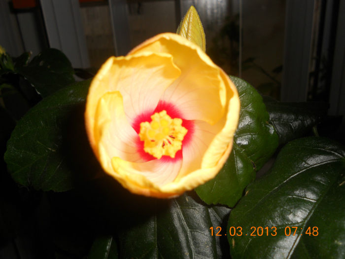 DSCN2761