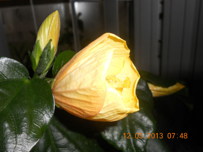 DSCN2762