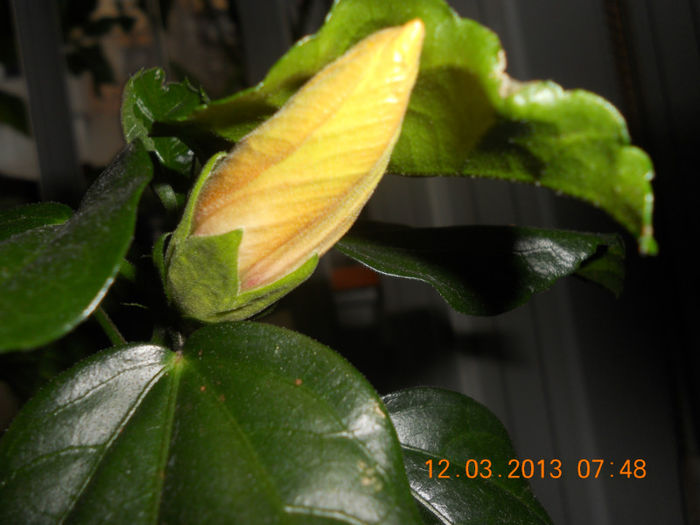 DSCN2763