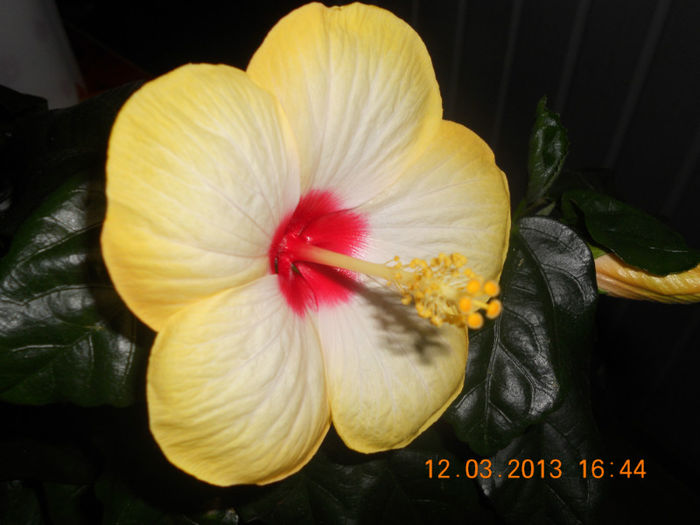 DSCN2766