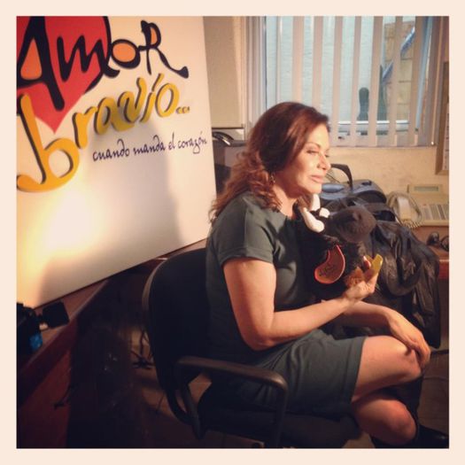 555185_307871529308928_19223134_n