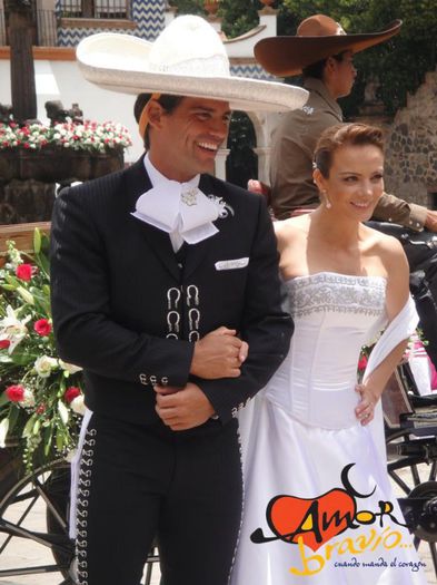 217743_323607397735341_100130988_n