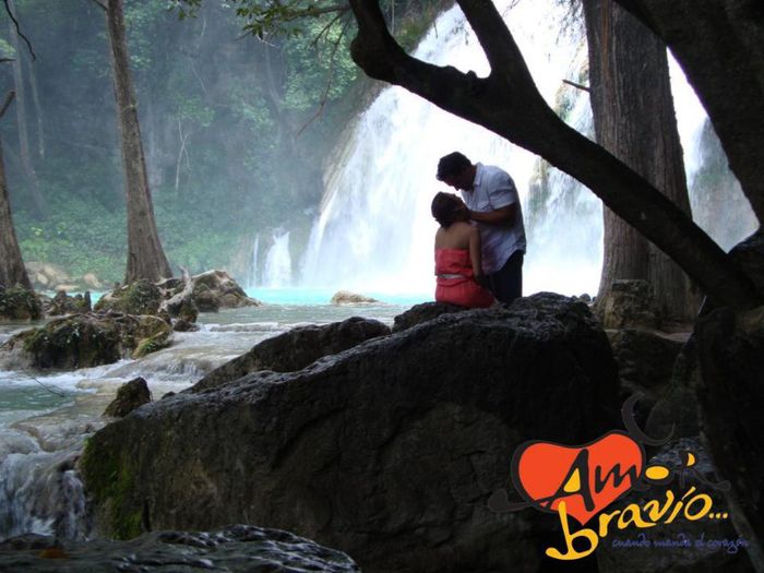 217903_324891844273563_1523774009_n