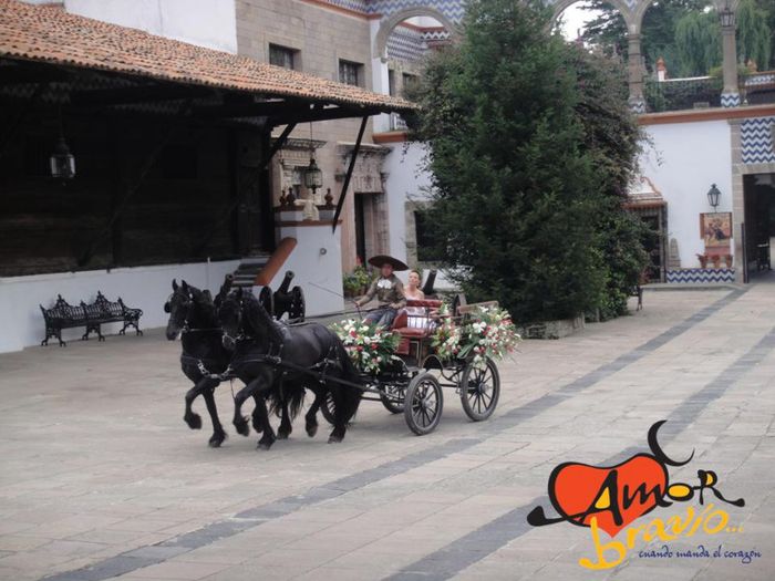 269716_323607247735356_611472900_n