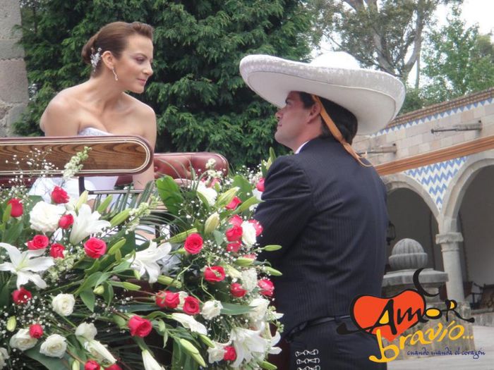 378204_323607321068682_696019566_n