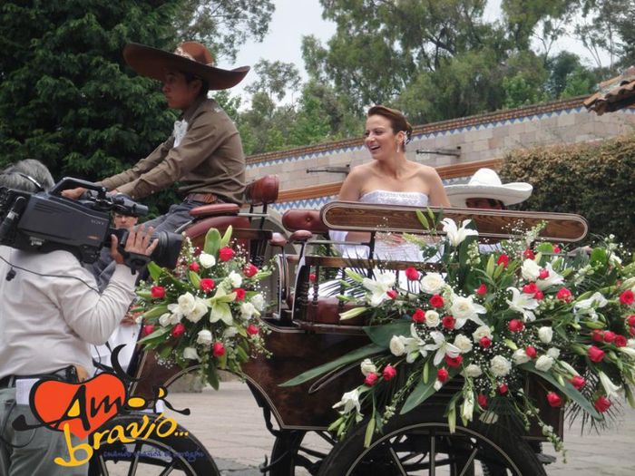 409623_323607267735354_1364262445_n