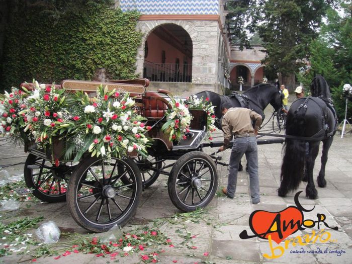 552005_323607174402030_1131506652_n