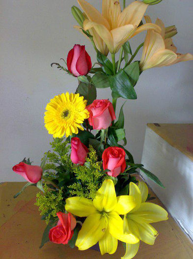 252597_456988867646710_623522574_n - aranjamente florale