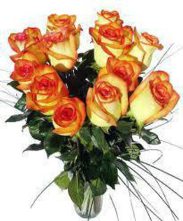 409673_475410175804579_979659488_n - aranjamente florale