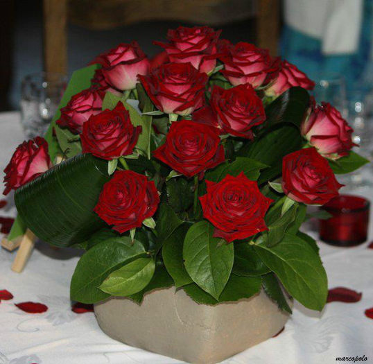 554592_453183718027225_234130383_n - aranjamente florale