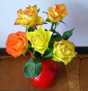 625683_479226415422955_1662024745_n - aranjamente florale