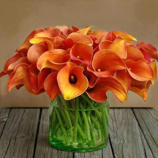 229911_442372649155069_1165997402_n - aranjamente florale