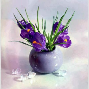 409338_442373112488356_2058996893_n - aranjamente florale