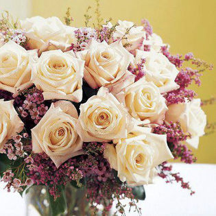 576900_423487967710204_505433996_n