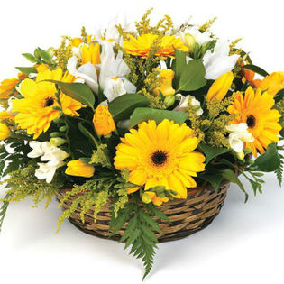425933_357832987637251_1487782731_n - aranjamente florale