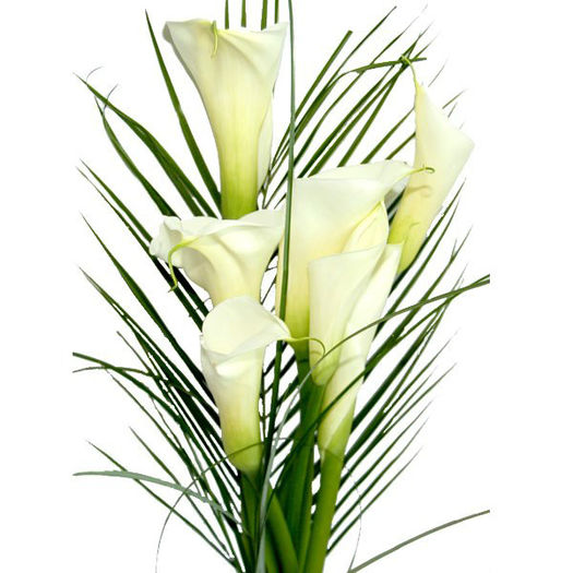 483119_527196490627620_497161326_n