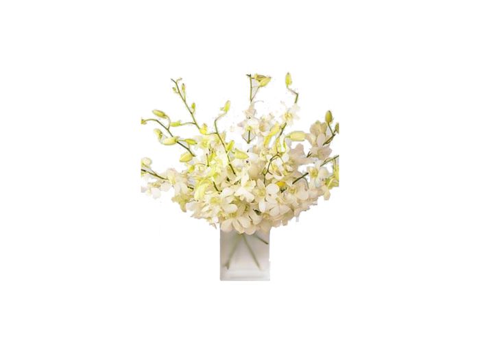 buchet-de-9-orhidee-albe_4f55f1e2a83d6 - aranjamente florale