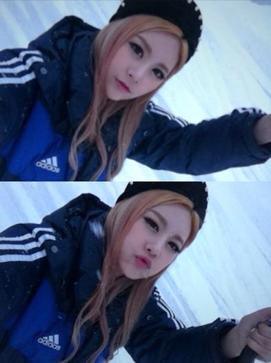 t-ara qri