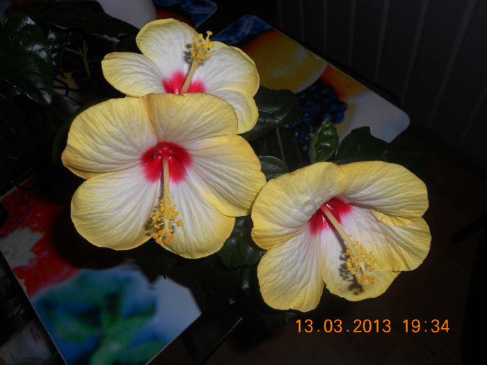 DSCN2772