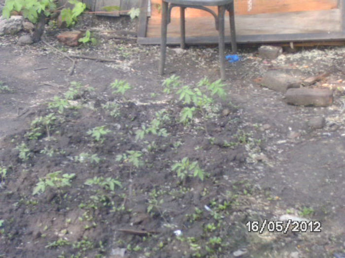 BILD0038